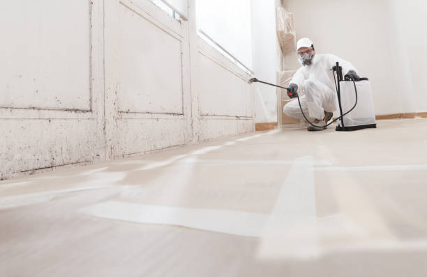 24/7 Emergency Mold Removal experts in Chapel Hill, NC